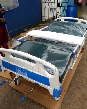 Double Crank Bed With Mattress