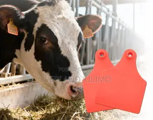Medium Numbered/Plain Plastic Ear Tags