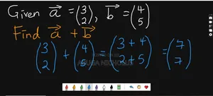 Mathematics and Physics Online Tuition