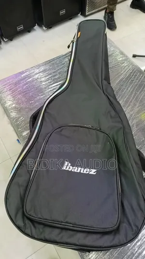 Ibanez Professional Padded Acoustic Guitar Gig Bag – Black