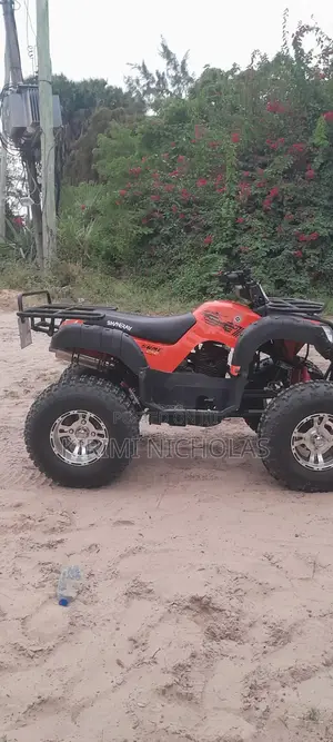 New Shineray XY250GY-4 2021 Orange