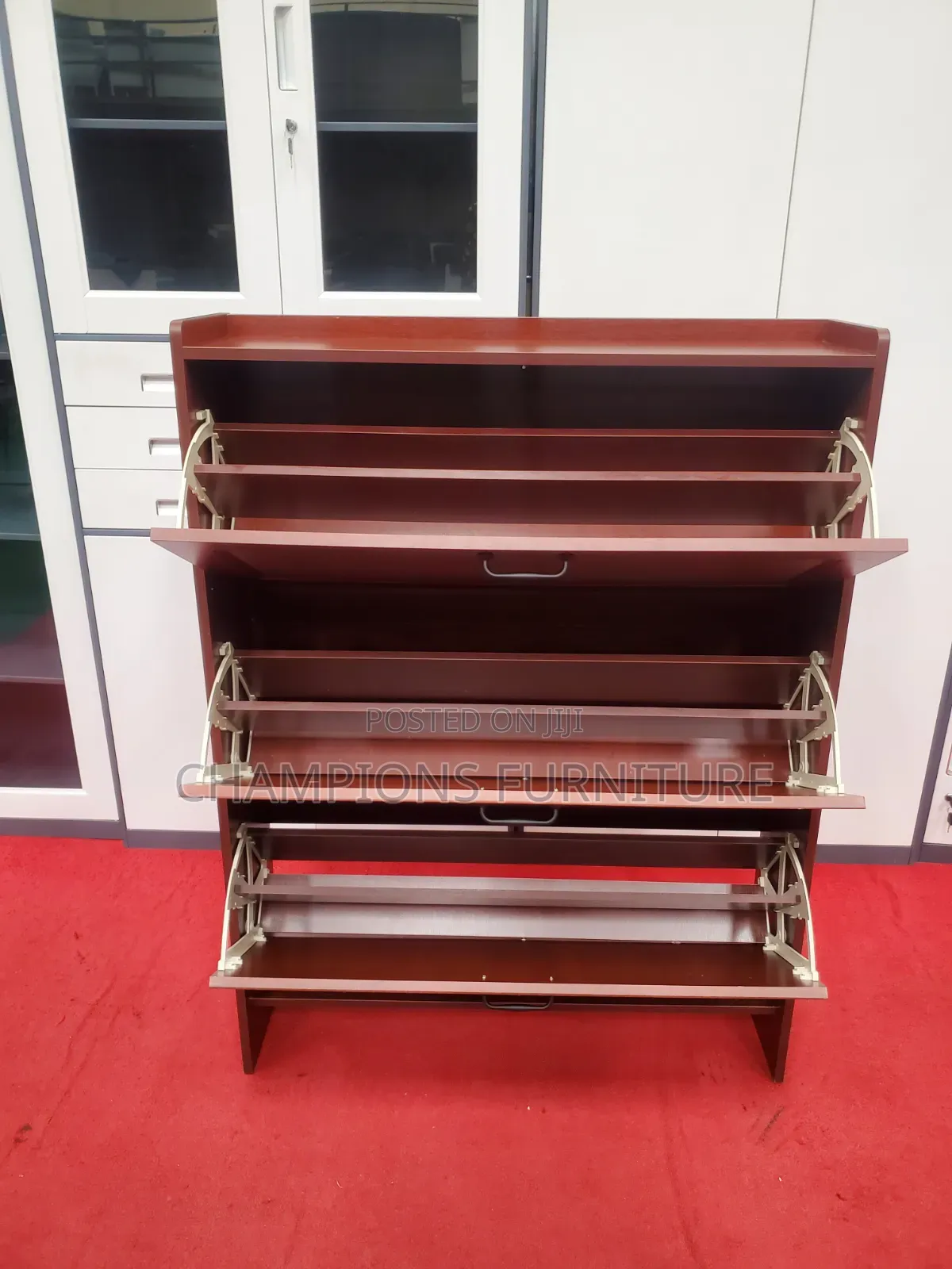 Brown Mahogany Shoe Cabinet