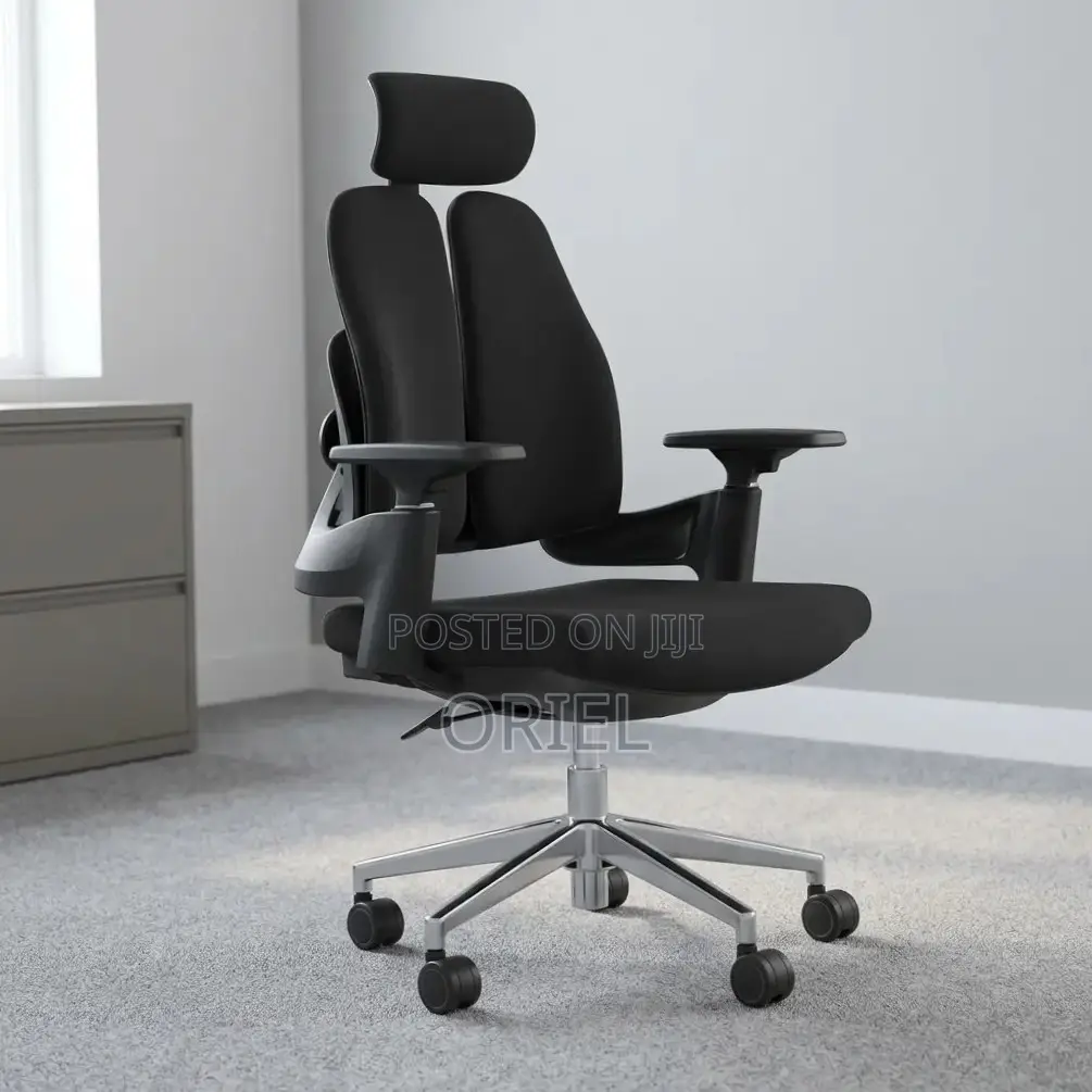 Office Chair : Double-Back Ergonomic Orthopedic Office Chair