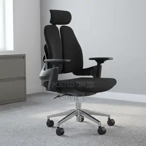 Office Chair : Double-Back Ergonomic Orthopedic Office Chair