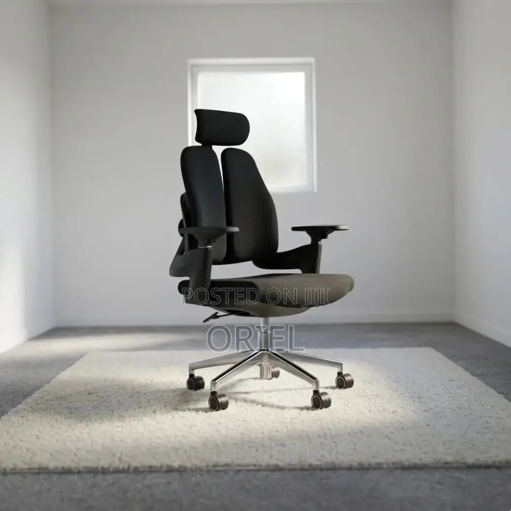 Office Chair : Double-Back Ergonomic Orthopedic Office Chair