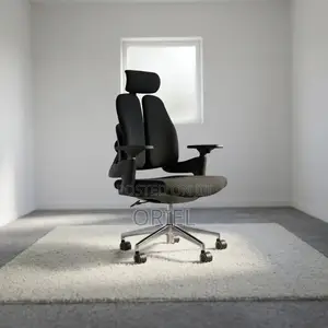 Office Chair : Double-Back Ergonomic Orthopedic Office Chair