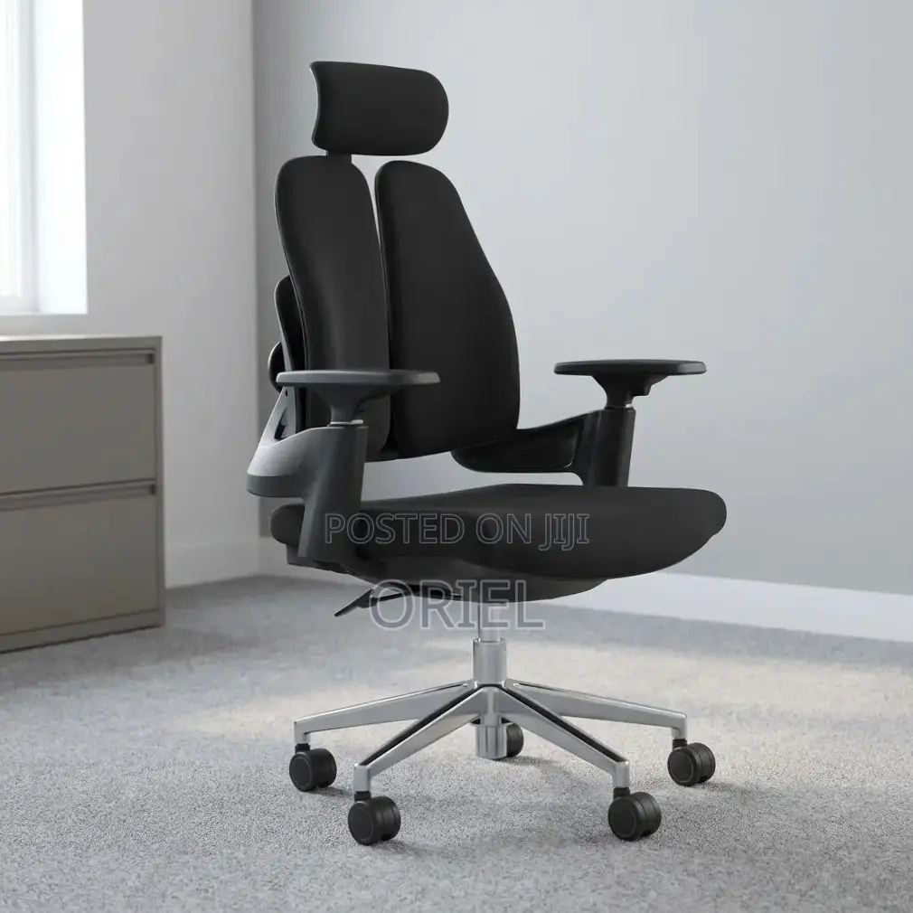 Office Chair : Double-Back Ergonomic Orthopedic Office Chair