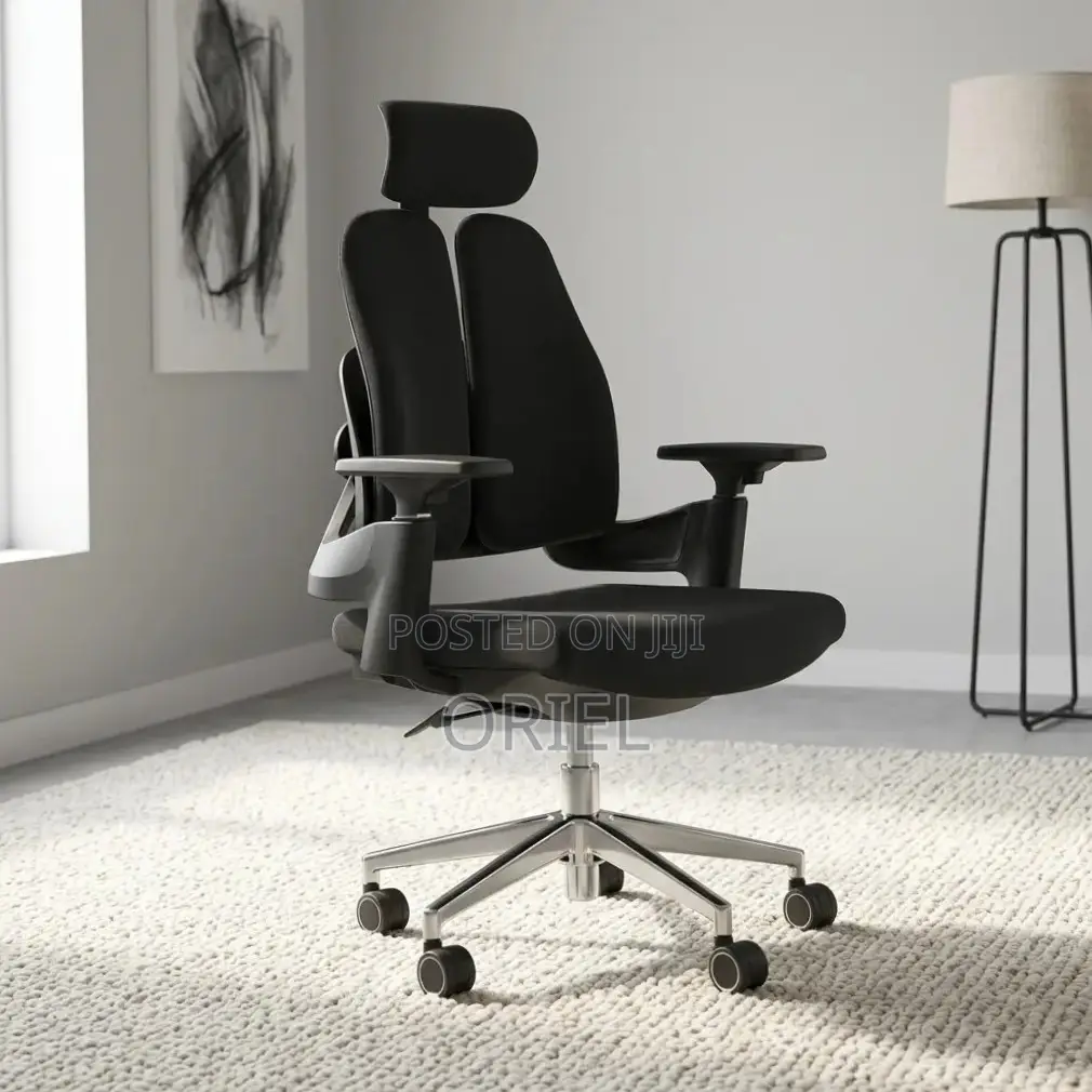 Office Chair : Double-Back Ergonomic Orthopedic Office Chair