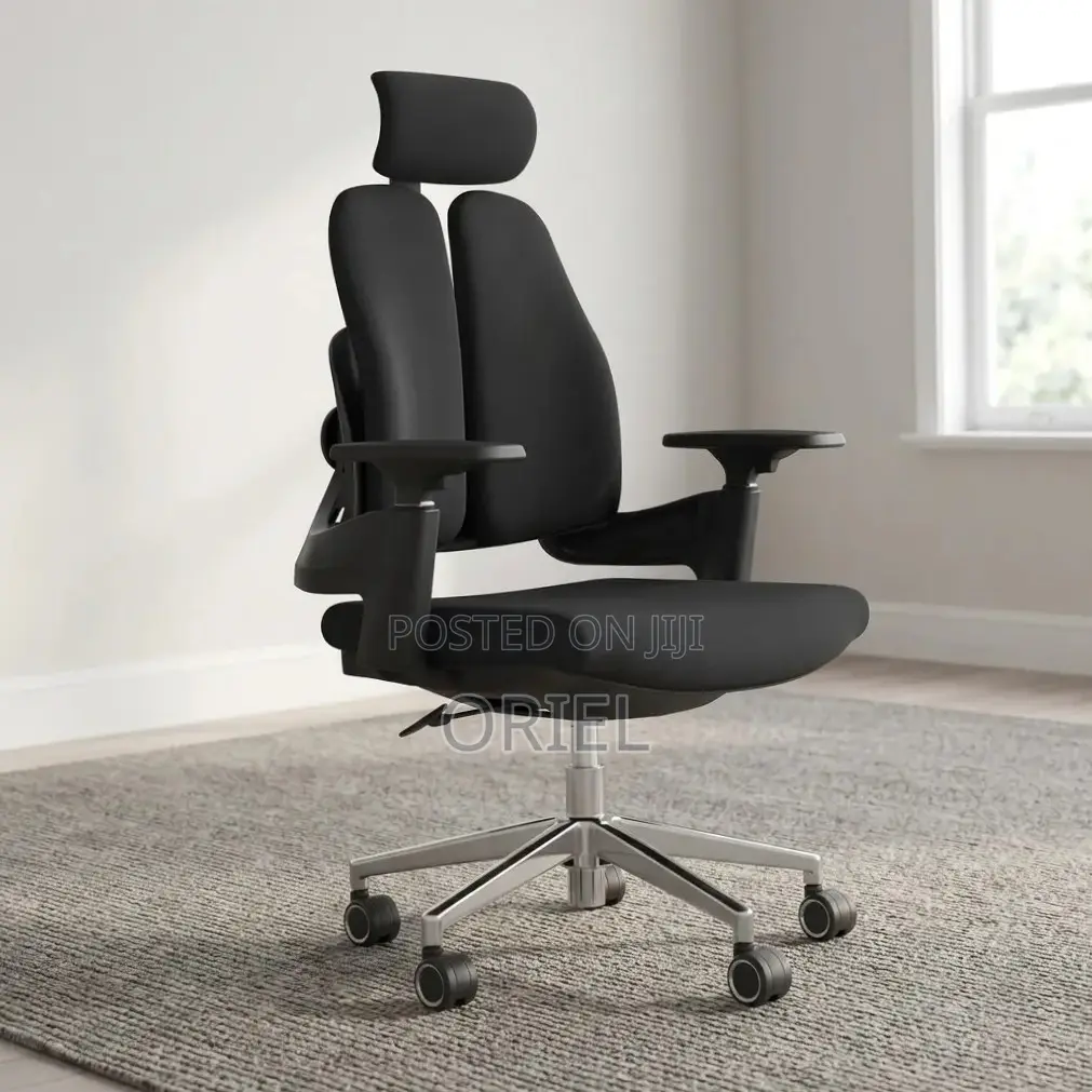 Office Chair : Double-Back Ergonomic Orthopedic Office Chair