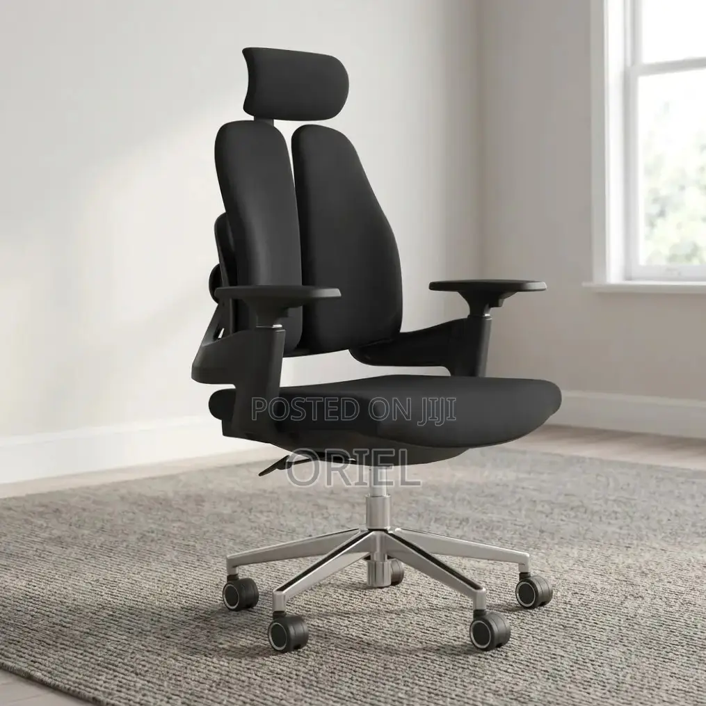 Office Chair : Double-Back Ergonomic Orthopedic Office Chair