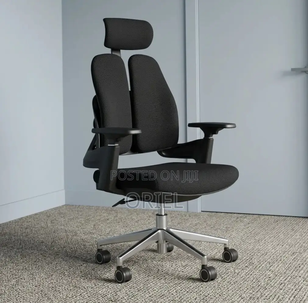 Office Chair : Double-Back Ergonomic Orthopedic Office Chair