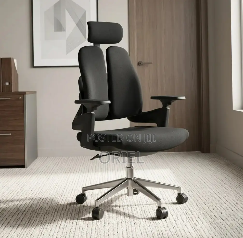 Office Chair : Double-Back Ergonomic Orthopedic Office Chair