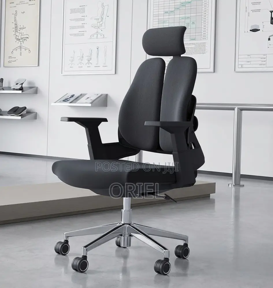 Office Chair : Double-Back Ergonomic Orthopedic Office Chair