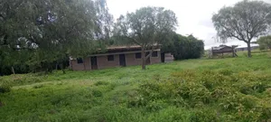 100 Acres for Sale in Kipeto Kiserian Ready for Subdivision, Farming