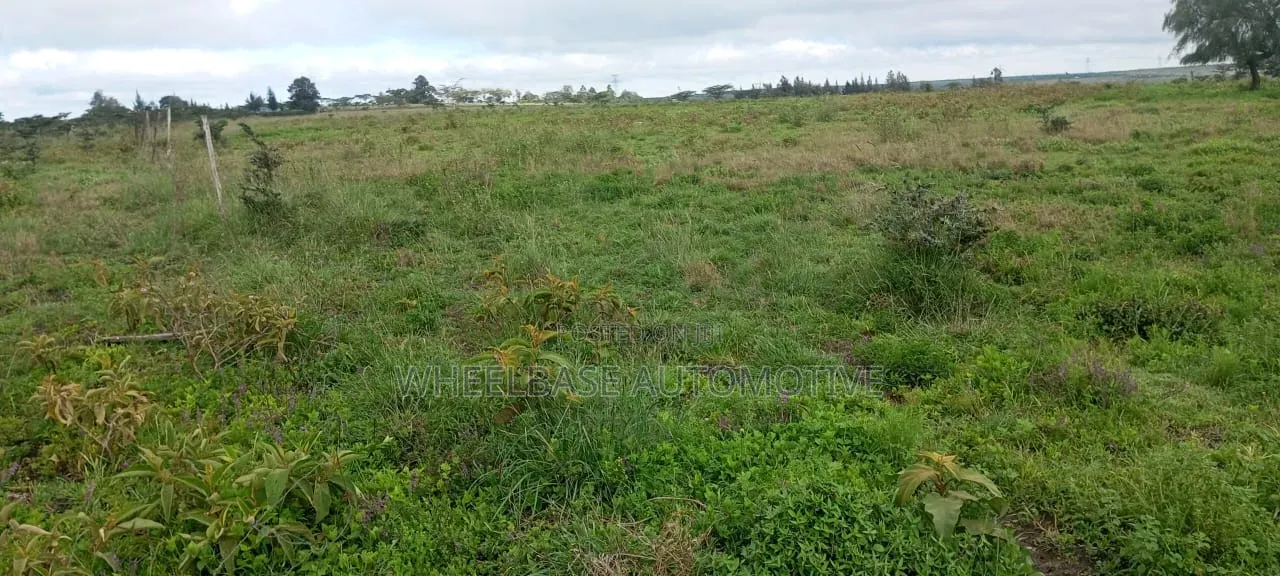 100 Acres for Sale in Kipeto Kiserian Ready for Subdivision, Farming