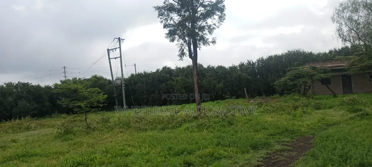 100 Acres for Sale in Kipeto Kiserian Ready for Subdivision, Farming