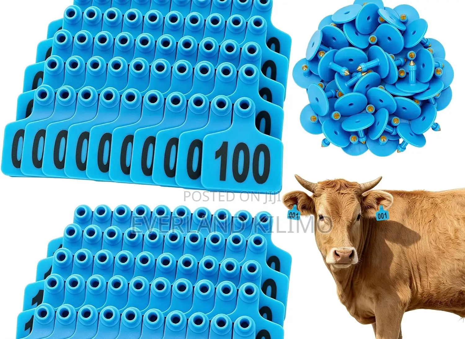 Livestock Record Keeping Medium Ear Tag