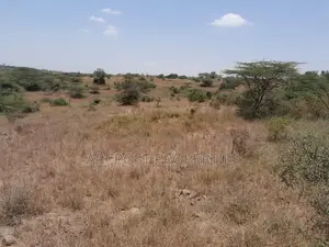 15 Acres for Sale Near Masai Lodge – Bordering Nairobi National Park