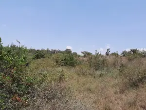 15 Acres for Sale Near Masai Lodge – Bordering Nairobi National Park