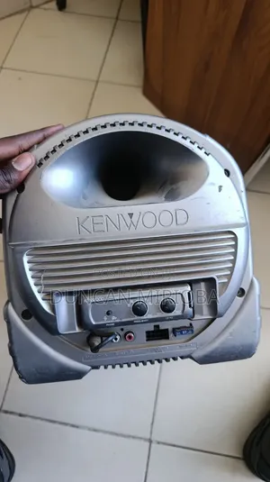 Powerful Subwoofer