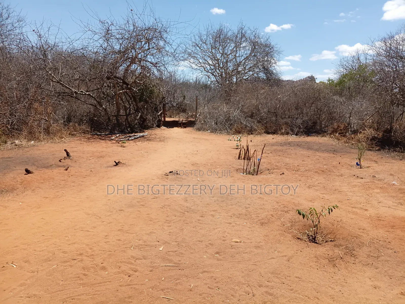 Land for Sell