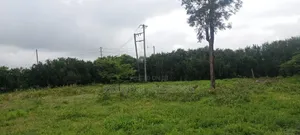 100 Acres of Prime Land for Sale in Kipeto Kiserian