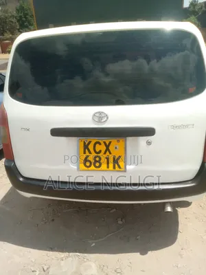 Toyota Probox 2013 White