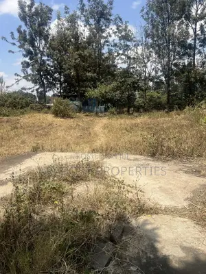 1⁄4 Acre Commercial Plot Touching Gataka Road