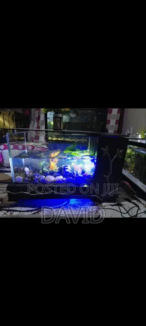 Aquarium Fish Tank