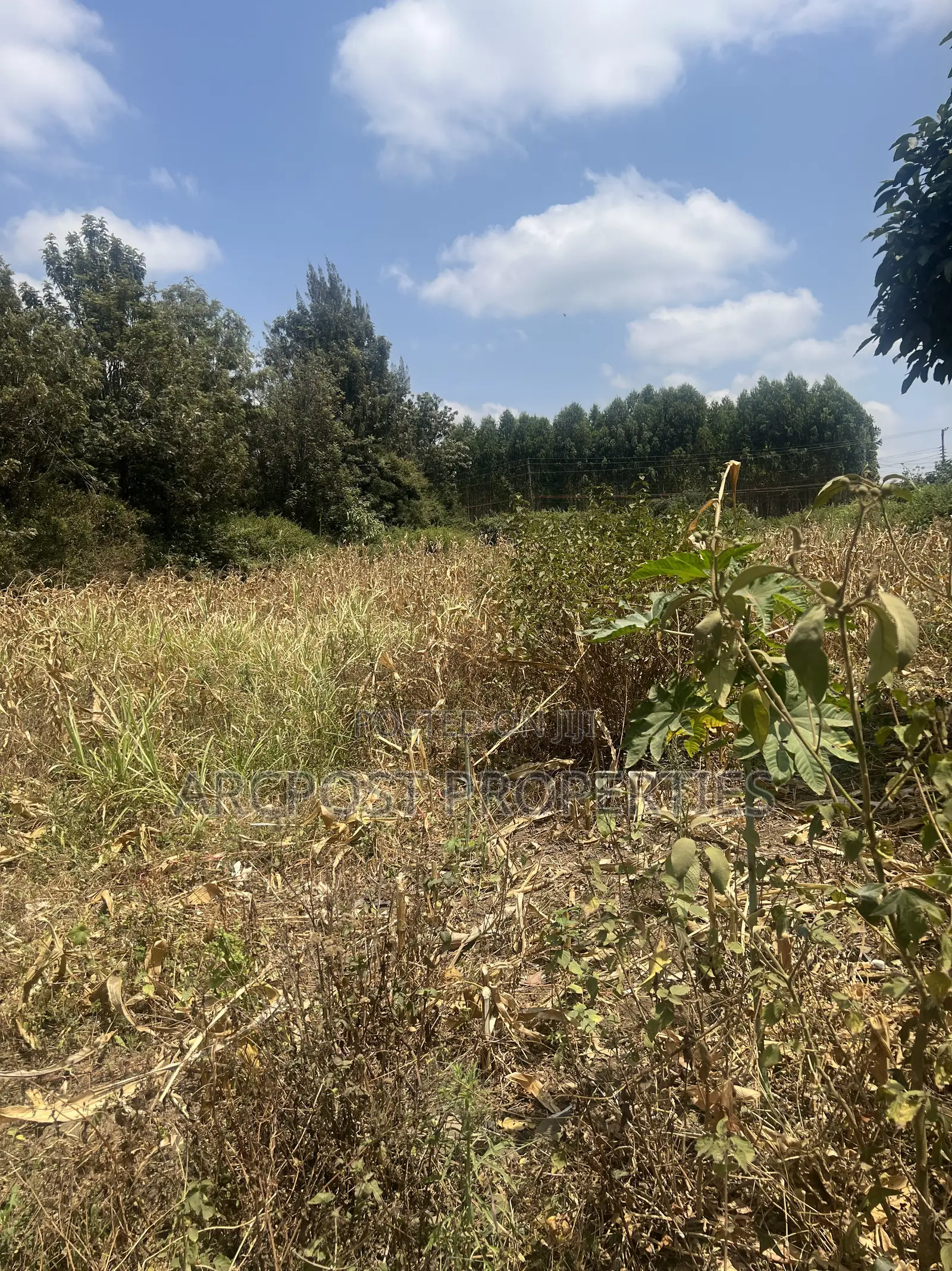 1⁄8 Acre Plot for Sale Near Millenial Hotel, Ongata Rongai