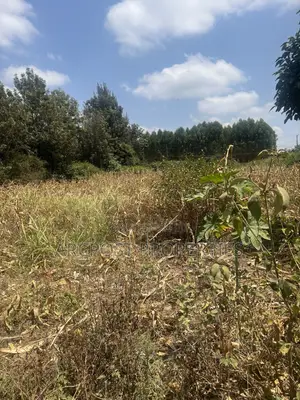 1⁄8 Acre Plot for Sale Near Millenial Hotel, Ongata Rongai