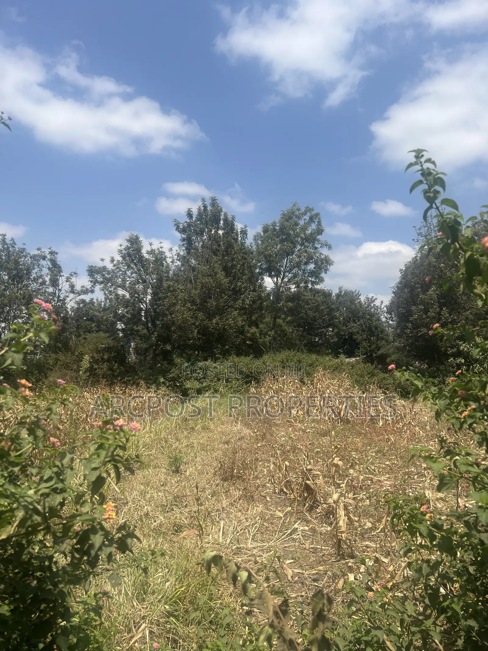 1⁄8 Acre Plot for Sale Near Millenial Hotel, Ongata Rongai