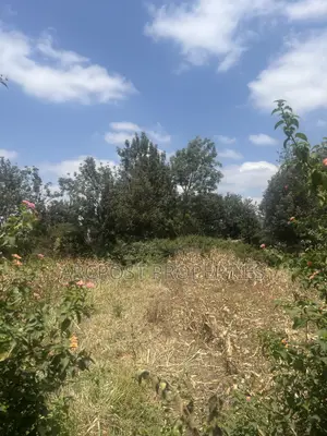 1⁄8 Acre Plot for Sale Near Millenial Hotel, Ongata Rongai