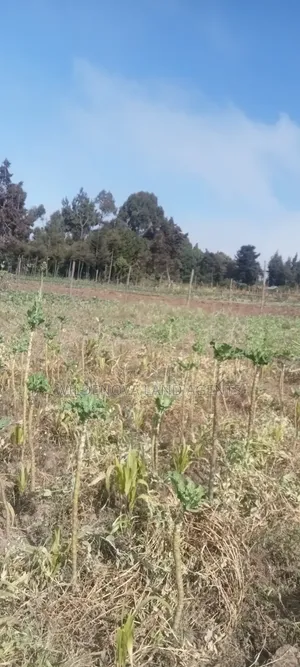 Land on Sale at Nyandarua Kinangop