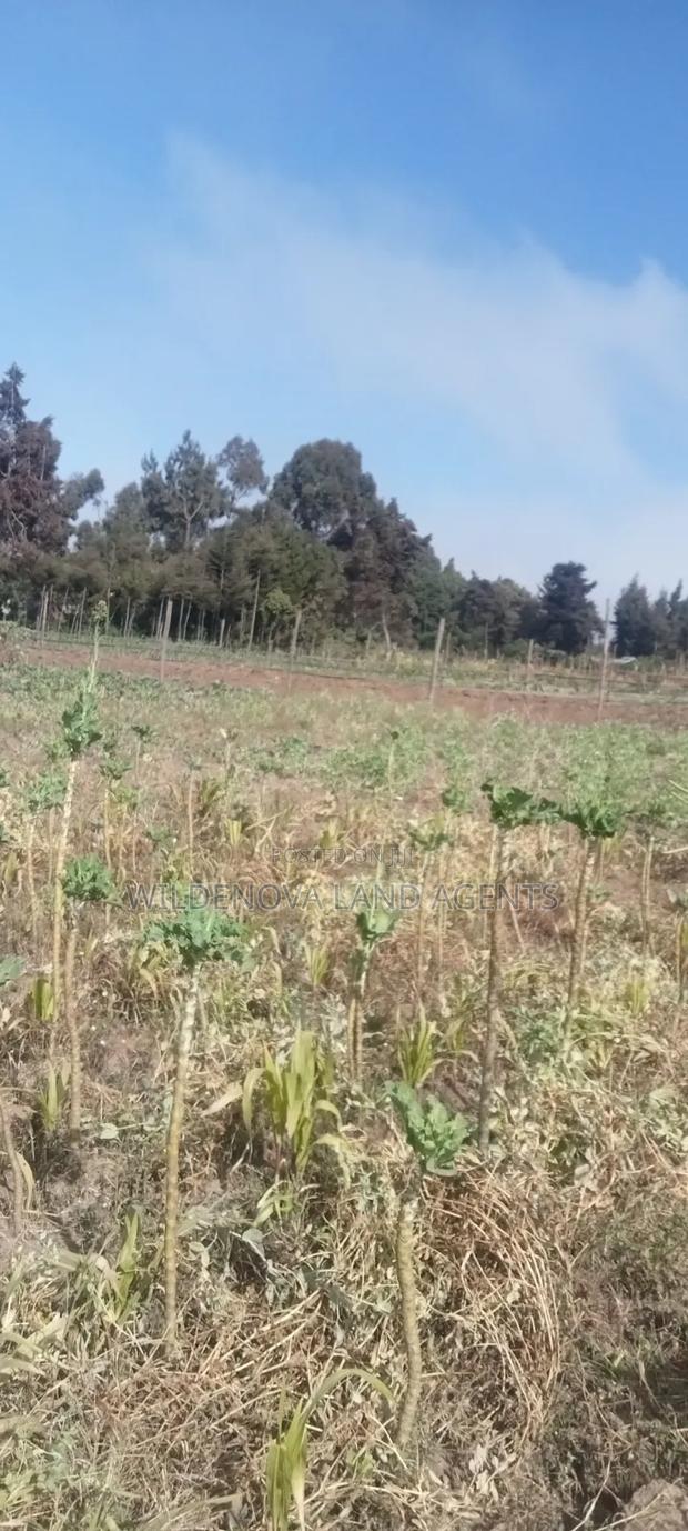 Land on Sale at Nyandarua Kinangop