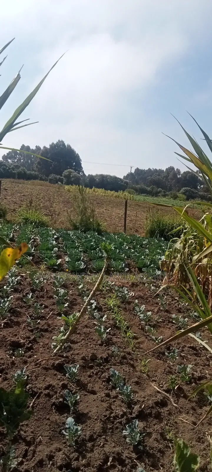 Land on Sale at Nyandarua Kinangop