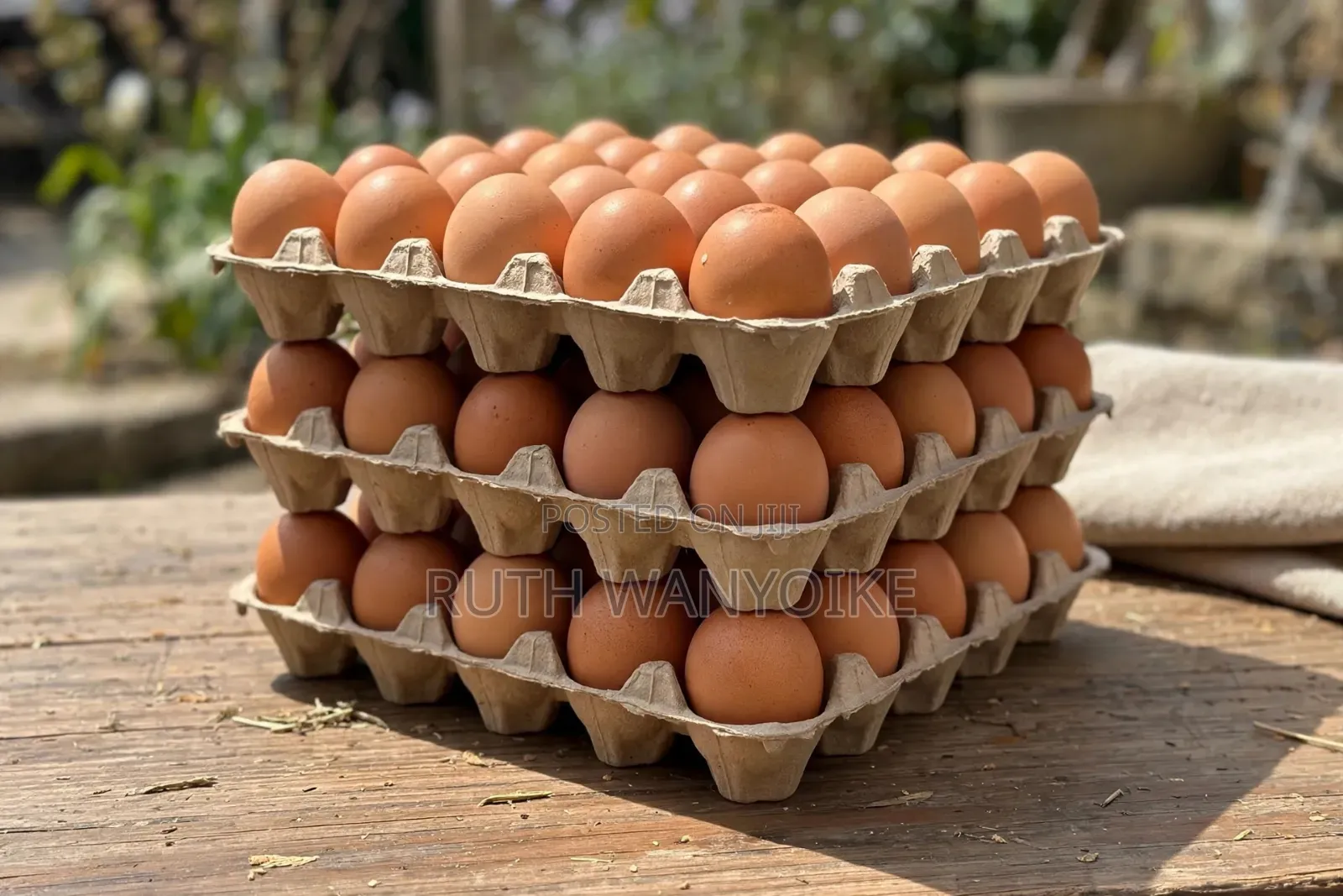 Fresh Farms Chicken Eggs