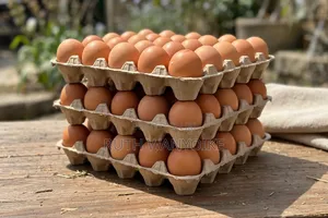 Fresh Farms Chicken Eggs
