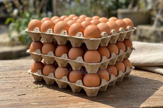 Fresh Farms Chicken Eggs