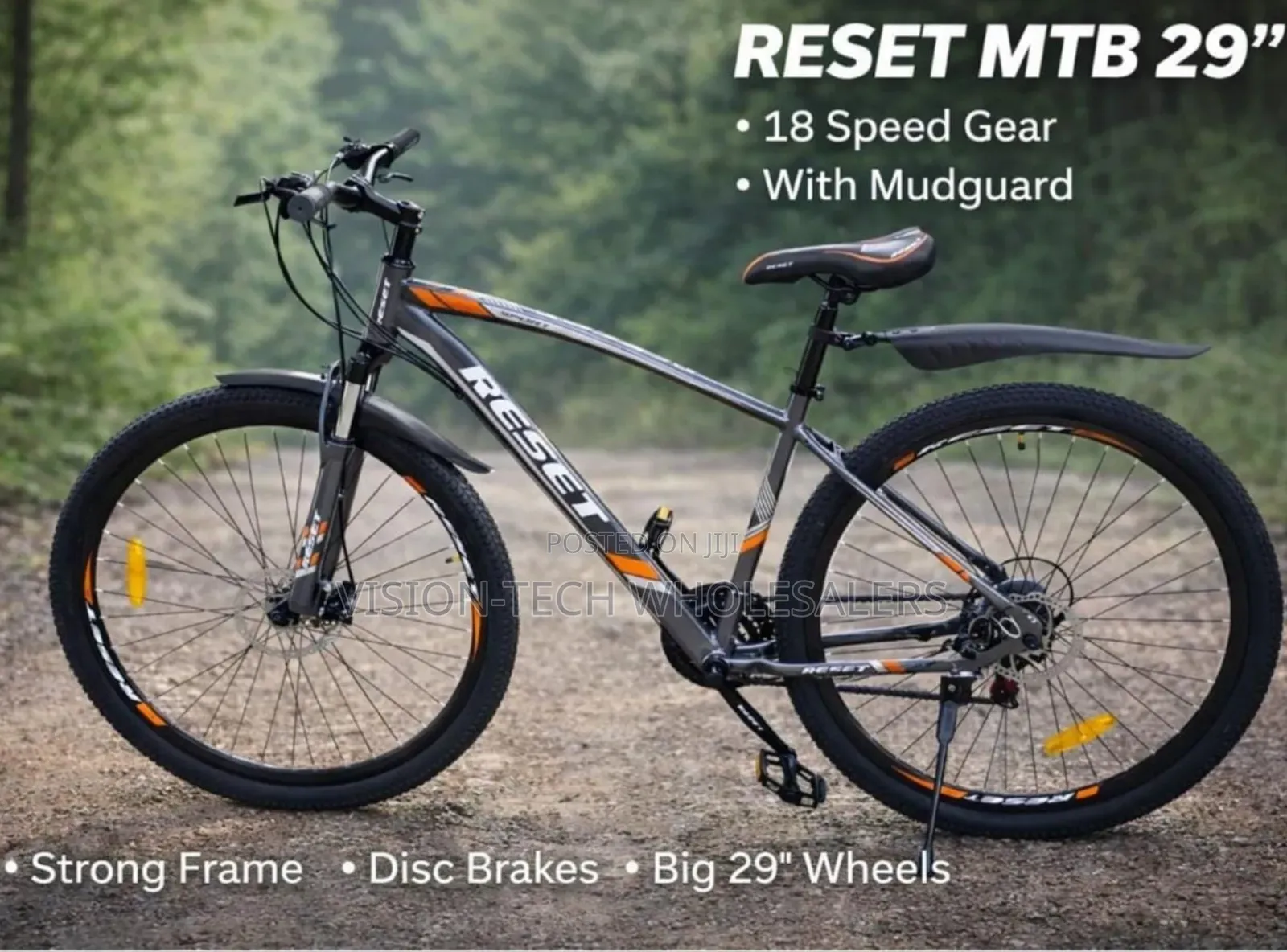 29" MTB Bike With Guard