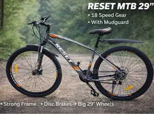 29" MTB Bike With Guard