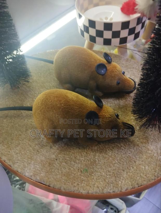 Mouse Toy Car