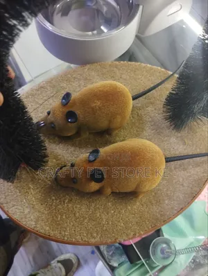 Mouse Toy Car