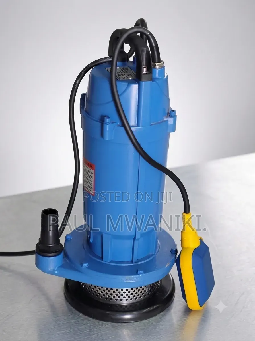 Submersible Water Pump With Float Switch – Brand New