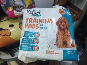 Dog Diapers
