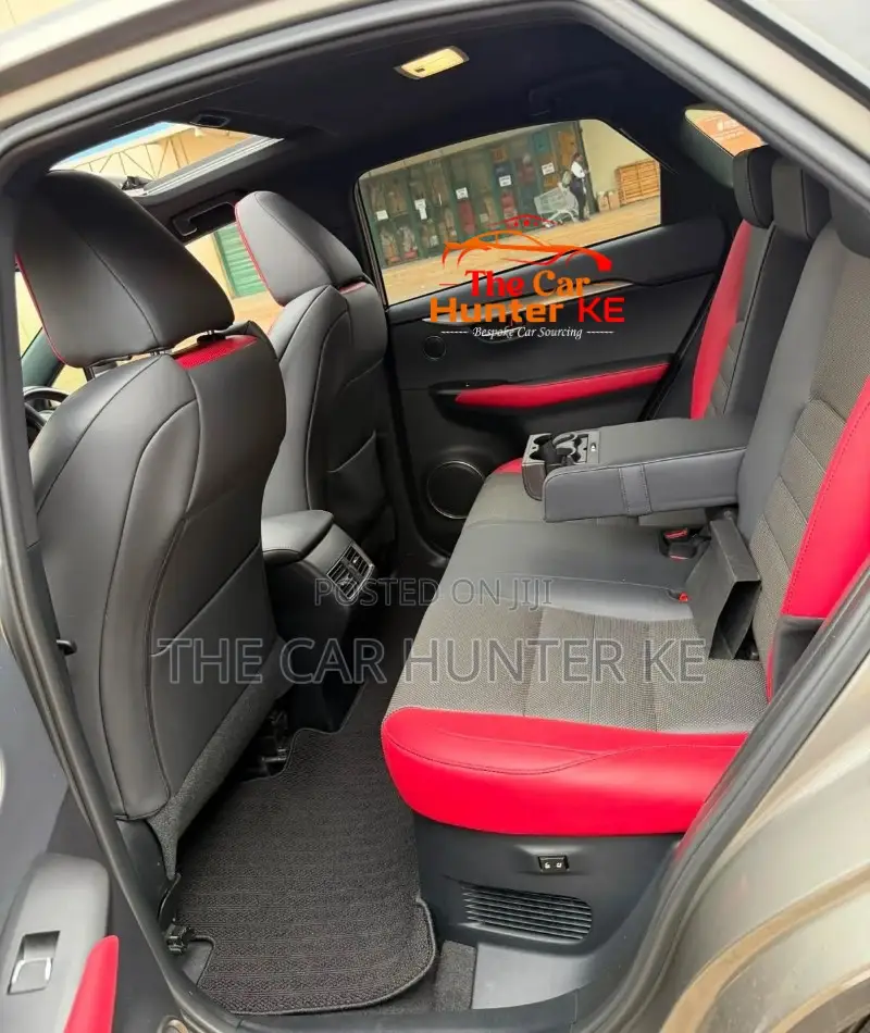 Lexus NX 2019 Gray