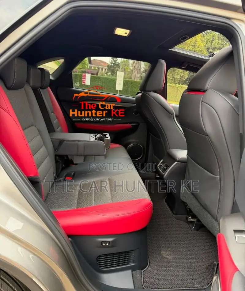 Lexus NX 2019 Gray