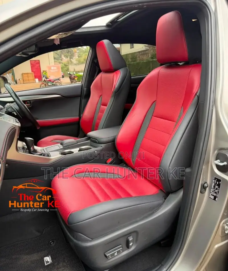 Lexus NX 2019 Gray