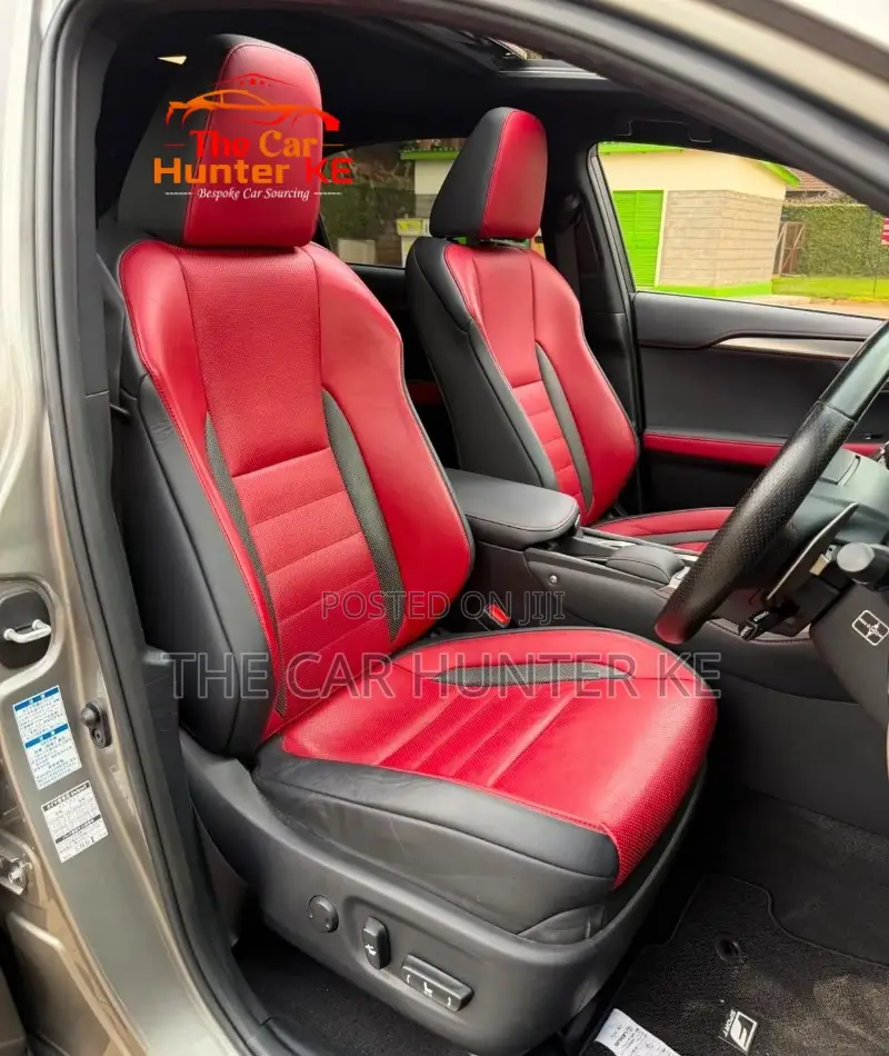 Lexus NX 2019 Gray