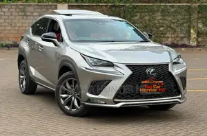 Lexus NX 2019 Gray